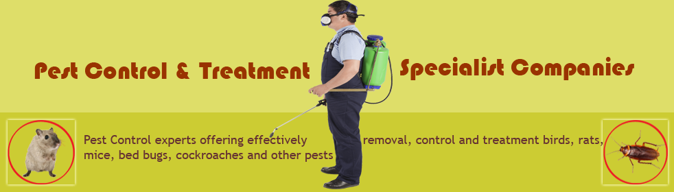 Local Pest Control and Removal companies 