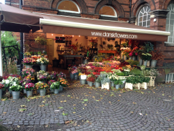 Dansk Flowers, Florists & Flower Shop, Flower Delivery Islington