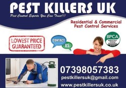 Pest Killers UK Pest Control Service London :  24/7 Pest Control