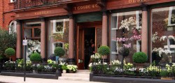 Pulbrook & Gould Flowers - London Flower Delivery, Mayfair