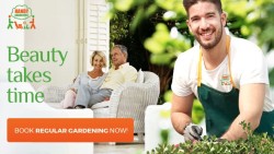 Handy Gardeners - Garden Maintenance