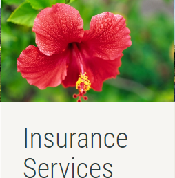 Disability Insurance Quote Kauai, HI