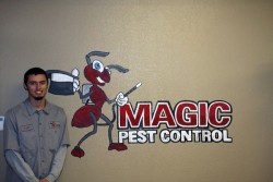 Magic Pest Control : Termite Control & Pest Control Gilbert, AZ