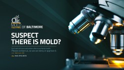 O2 Mold Testing of Baltimore