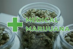 Royal Weed Cannabis Dispensary, Michigan, US
