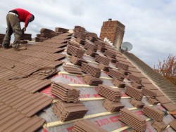 Berkley Roofing & Building Solutions Ltd : Roof Cleaning, London