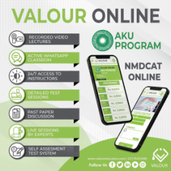 Valour Education: Online Education System