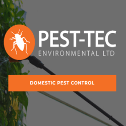 Pest-Tec Pest Control London : Wasp Nest  Removal & Mouse Proofing