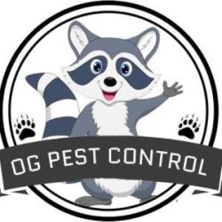 OG Pest Control : Pest Control in Lewisham & South East London