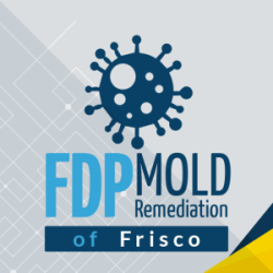FDP Mold Remediation of Frisco