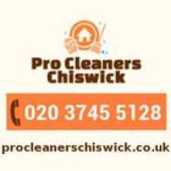 Pro Cleaners Chiswick