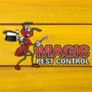 Magic Pest Control : Termite Control & Pest Control Gilbert, AZ