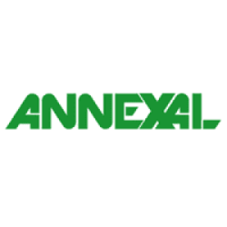 Annexal: Website Maintenance Services India