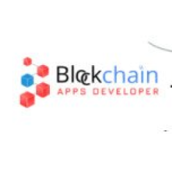 Blockchain Apps Developer Company New York, US