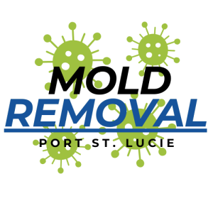 Mold Removal Port St. Lucie