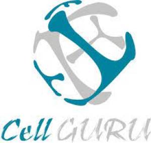Cell Guru - Mobile Phone Repair & Cell Phone Store, Chiswick