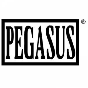 Pegasus Glass - Specialty Glass Provider, Ontario, CA
