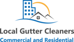 Local Gutter and Roof Cleaning Service
